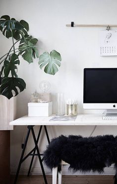 a white desk with a computer on top of it next to a large green plant