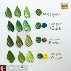 the colors of leaves are labeled in different ways on a white board with green, blue, and yellow