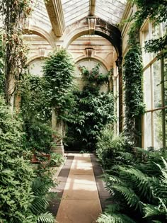 the inside of an old building with lots of plants and greenery on either side