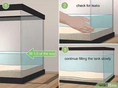 how to set up a fish tank with pictures and instructions step by step for beginners