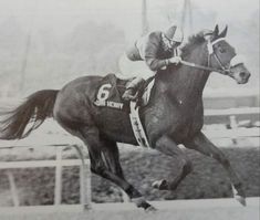 a man riding on the back of a brown horse