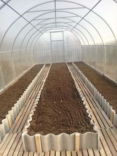 the inside of a greenhouse with rows of plants growing in them and dirt on the ground