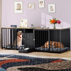 two dogs sitting in their kennels at the end of a living room floor