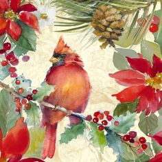 a watercolor painting of a cardinal on a branch surrounded by poinsettis and pine cones