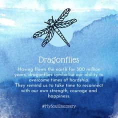 a blue watercolor background with the words dragonflies