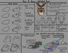 an image of how to draw a wolf head with different shapes and colors on it