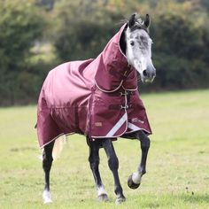 a horse wearing a blanket running in a field