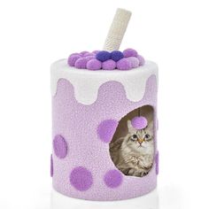 a cat in a purple and white polka dot cake with a toothbrush sticking out of it