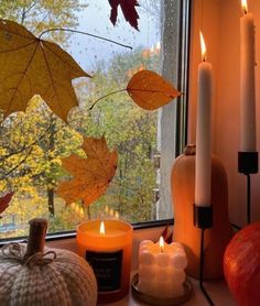 candles and pumpkins sit on a window sill