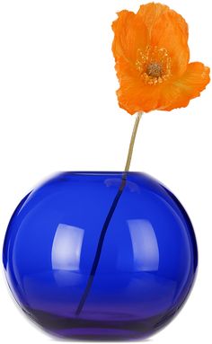 an orange flower in a blue vase on a white background with clipping to the bottom