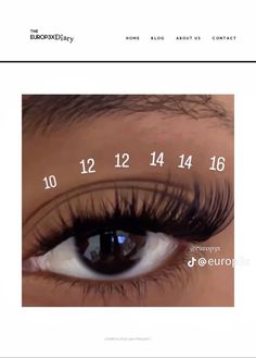 Lash Extensions Styles Lash Map, Lashes Extensions Clusters, Fluffy Lash Extensions Mapping, B&q Lash Map Clusters, Quewel Lash Map, Lash Layout Clusters, Lash Map Ideas Clusters, Volume Cluster Lashes Map, Small Eye Lash Map