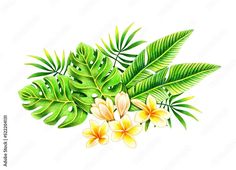 Tropical leaves and flower bouquet. Composition with exotic plants drawn with colored pencils for summer print design. Tropic element isolated on white background. Crayons Decoration, Hawaii Illustration, Crayon Decorations, Monstera Painting, Botanical Bouquet, Foliage Garden, Flower Foliage, Composition Drawing, Paradise Plant