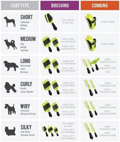 the different types of dog collars and leashes for dogs that are not in use