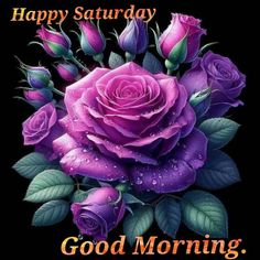 a purple rose with green leaves on it and the words happy saturday good morning written below