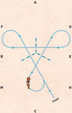 an image of a diagram with arrows pointing to different directions on the opposite side of it