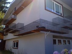 a cat sitting on the top of a balcony in front of a house with flowers