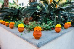 orange and yellow flowers are placed in clay pots on a ledge next to palm trees