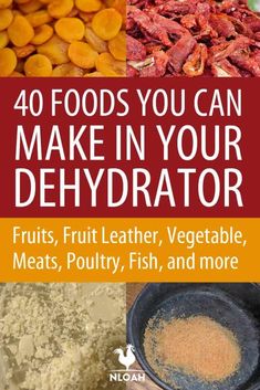 the cover of 40 foods you can make in your dehydraator, fruits, fruit leather, meats, poultry, fish and more