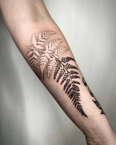 a fern leaf tattoo on the arm