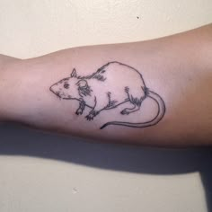 a small rat tattoo on the arm