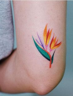 a colorful flower tattoo on the left side of the leg, with green leaves and orange petals