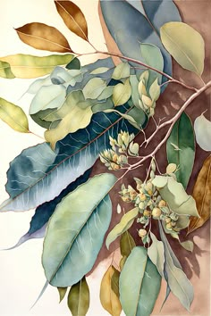 a painting of leaves and buds on a branch