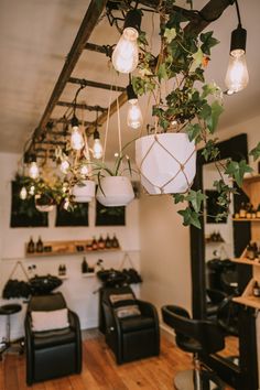 a hair salon with lots of plants hanging from the ceiling and lights on the wall