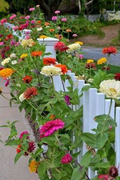 many different colored flowers growing on the side of a white fence