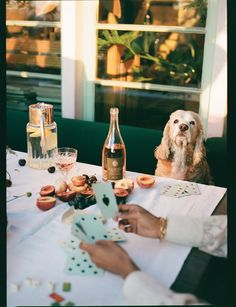 a dog sitting at a table with food and drinks