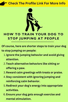 a green poster with instructions on how to train your dog