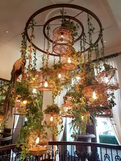 a chandelier with lots of plants hanging from it's sides and lights on the ceiling