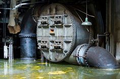 an old steam engine sitting in the middle of a flooded area with yellow flowers on the ground