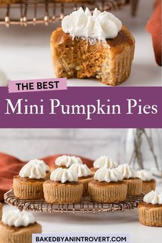 mini pumpkin pies with whipped cream on top and the title above it reads, the best mini pumpkin pies