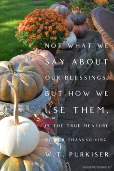 some pumpkins and gourds are sitting on the ground