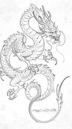 a black and white drawing of a dragon with two heads on it's back