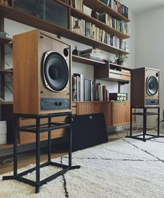 there are speakers and bookshelves in the living room with carpet on the floor