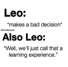 an image with the words leo makes a bad decision also leo well, we'll just call that a learning experience