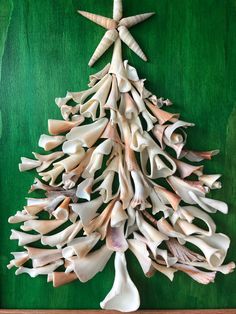 a christmas tree made out of sea shells