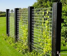 a row of black metal fence with green plants growing on it