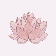 a drawing of a pink lotus flower on a white background with the words, i love you