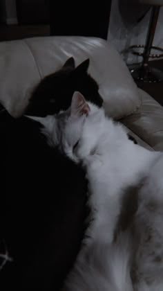 two black and white cats sleeping on a couch