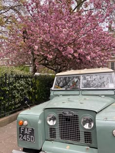 an old green land rover parked in front of a flowering tree