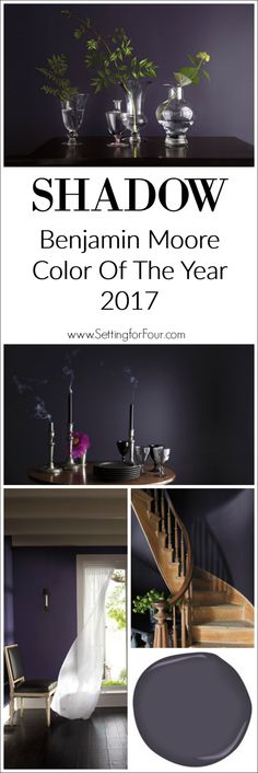 the cover of the book shadow by benjamin moore color of the year 2011