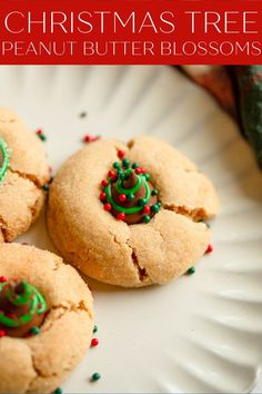 three christmas tree peanut butter blossoms on a white plate