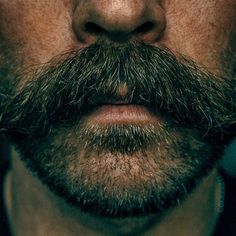 Walrus Mustache, Beard Images, Stubble Beard, Scruffy Men