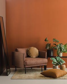 a living room with an orange wall and two plants in vases on the floor