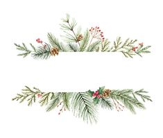 watercolor christmas border with pine, holly and berries on white background royalty - free stock photo