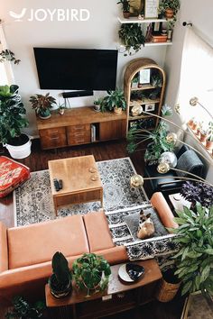 an overhead view of a living room with couches, coffee table and plants on the wall