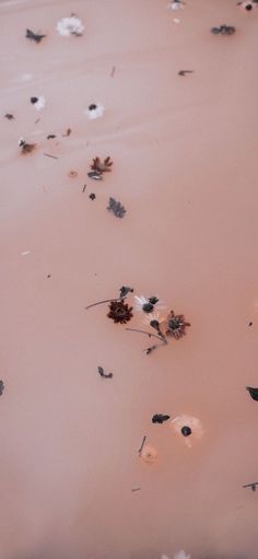 the water is pink with little white flowers floating in it