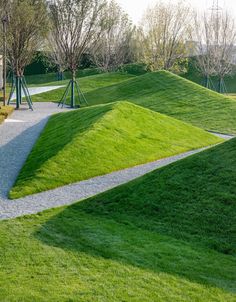 a park with green grass and trees in the background, as well as a walkway